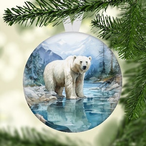 Glacier Bay Christmas Ornament, Glacier Bay National Park Ornament, Glacier Bay Gift, Glacier Bay National Park, Glacier Bay Alaska