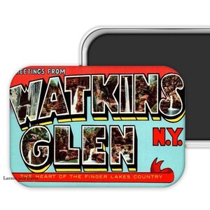 Watkins Glen Magnet, Watkins Glen New York Gift, Watkins Glen Souvenir, Watkins Glen New York