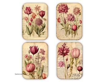 Set of 4 Refrigerator Magnets, Magnets, Magnet Gift, 2 x 3 Magnets, Flower Magnets, Housewarming Gift, Flower Refrigerator Magnets, Kitchen