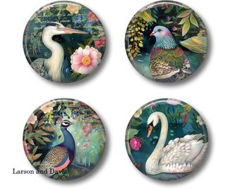 Set of 4 Refrigerator Magnets, Bird Magnets, Bird Gift, Pigeon Magnet, Peacock Magnet