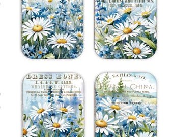 Set of 4 Refrigerator Magnets, Daisy Magnets, Flower Magnets, Flower Refrigerator Magnets, Kitchen Magnets, Fridge Magnets, Hostess Gift