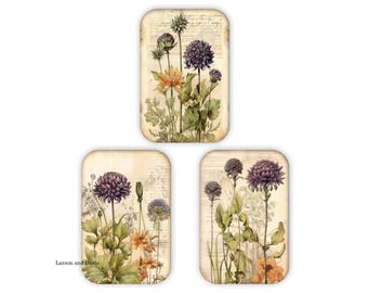 Magnets, Set of 3 Refrigerator Magnets, Kitchen Magnets, Housewarming Gift, Flower Refrigerator Magnets, Flower Magnets, Kitchen Gift