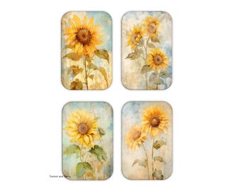 Sunflower Magnets, Set of 4 Refrigerator Magnets, Flower Magnets, Flower Refrigerator Magnets, Kitchen Magnets, Fridge Magnets, Hostess Gift