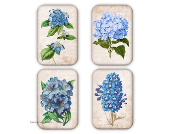 Set of 4 Refrigerator Magnets, Blue Magnets, Magnet Gift, 2 x 3 Magnets, Hydrangea Magnet, Flower Magnets, Housewarming Gift