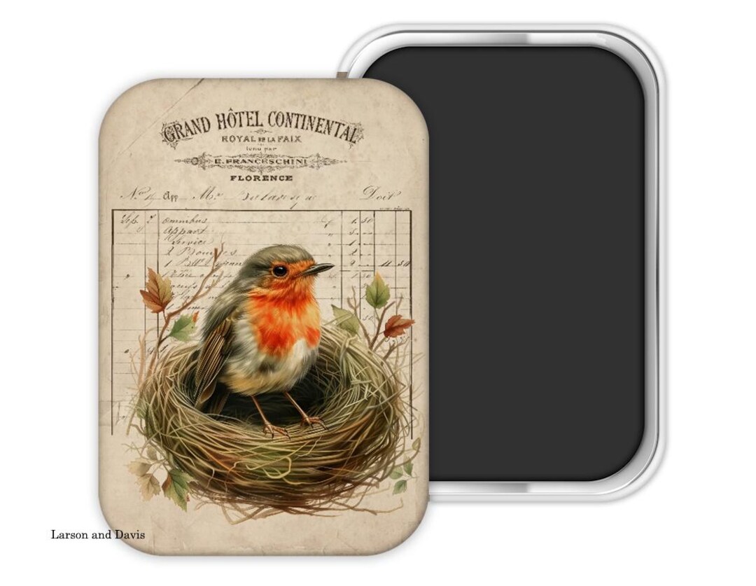Robin Magnet Robin Magnet, Robin Refrigerator Magnet, Bird Magnet, Bird Theme, Robin ...