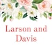 Larson Davis