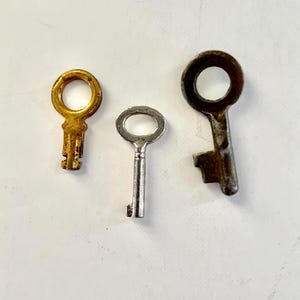 3 Tiny Skeleton Keys