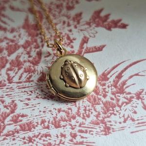 May include: A gold-colored locket necklace with a ladybug design. The round locket is suspended from a delicate chain. The ladybug is embossed on the front of the locket. The background features a red and white floral pattern.