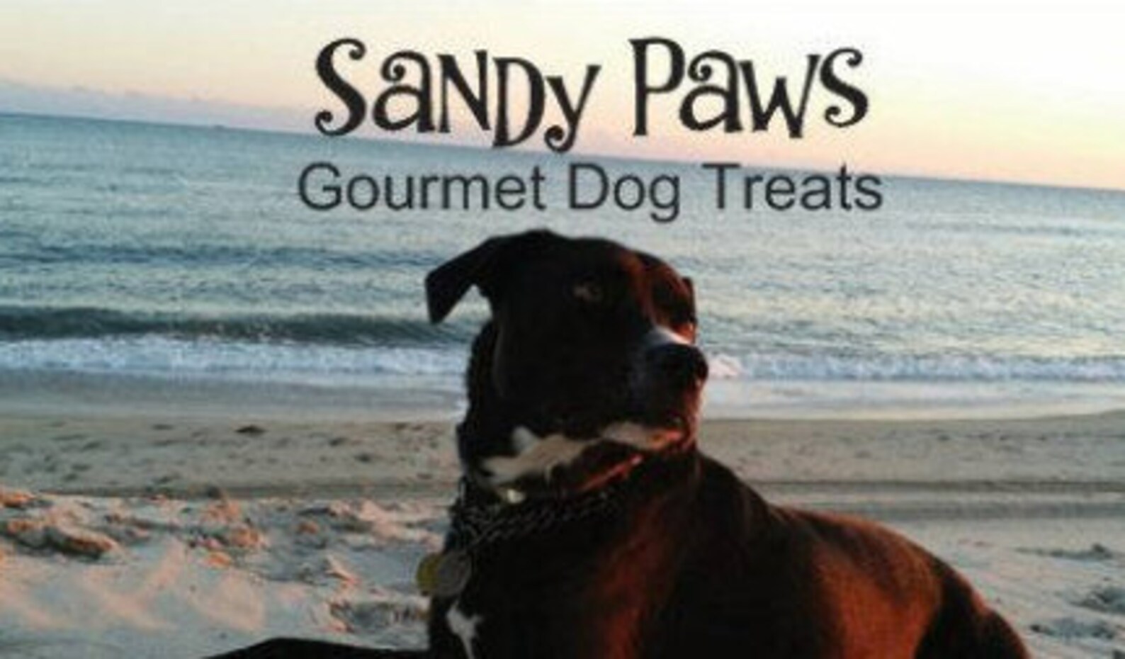 Carob Dog Treats Easter Dog Treats Gourmet Dog Treats Etsy