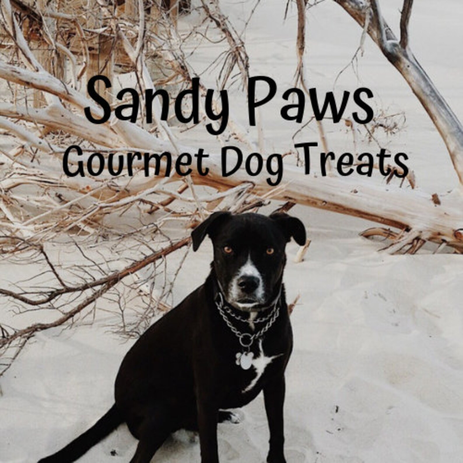 Organic Dog Treats Decorated Dog Treats Gourmet Dog Treats Etsy