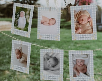Silly Goose Birthday Party Photo Banner, One Lucky Duck Birthday Photo Display Banner, Monthly Photo Banner, Goose First Birthday, Printable