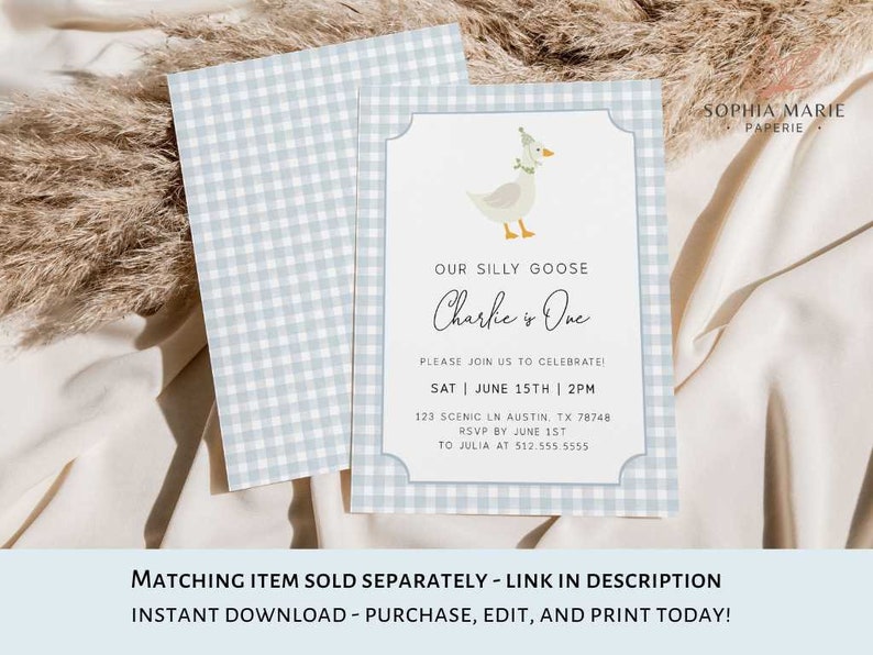 May include: A blue and white gingham patterned invitation with a cartoon goose illustration. The text reads "Our Silly Goose Charlie is One" with details for a party on June 15th at 2pm. RSVP by June 1st to Julia at 512.555.5555.