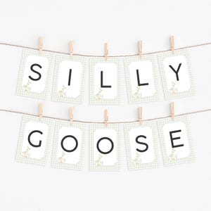 Modelo de banner para festa de aniversário do Silly Goose, Bandeirinha de aniversário do One Lucky Duck, Banner de aniversário personalizado, Primeiro aniversário do Goose, Para impressão