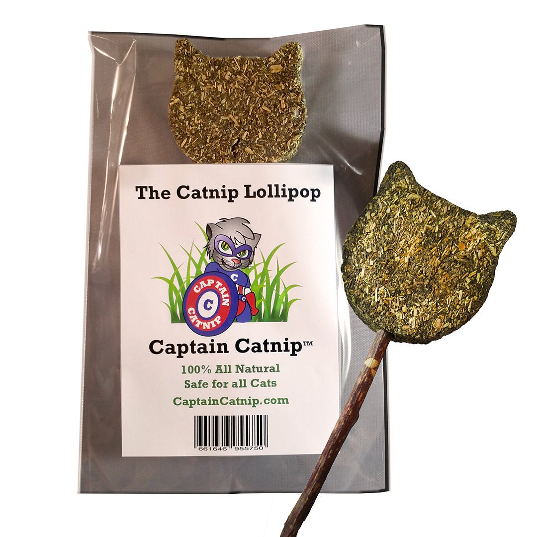 Catnip lollipop with matatabi cheap stick