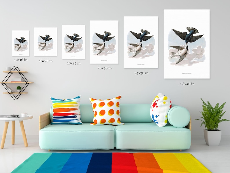 Op de afbeelding: Een verzameling ingelijste kunstdrukken met een gedetailleerde illustratie van twee zwaluwen in vlucht. De prints vari&euml;ren in grootte, van 30x41 cm tot 71x102 cm, en worden tentoongesteld op een lichtgrijze muur boven een turquoise bank.