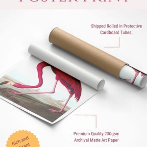 May include: A rolled poster print featuring a vibrant pink flamingo illustration. The poster is printed on archival matte paper and is labeled "POSTER PRINT". The image also includes text that says "Rich and Vibrant Colors".