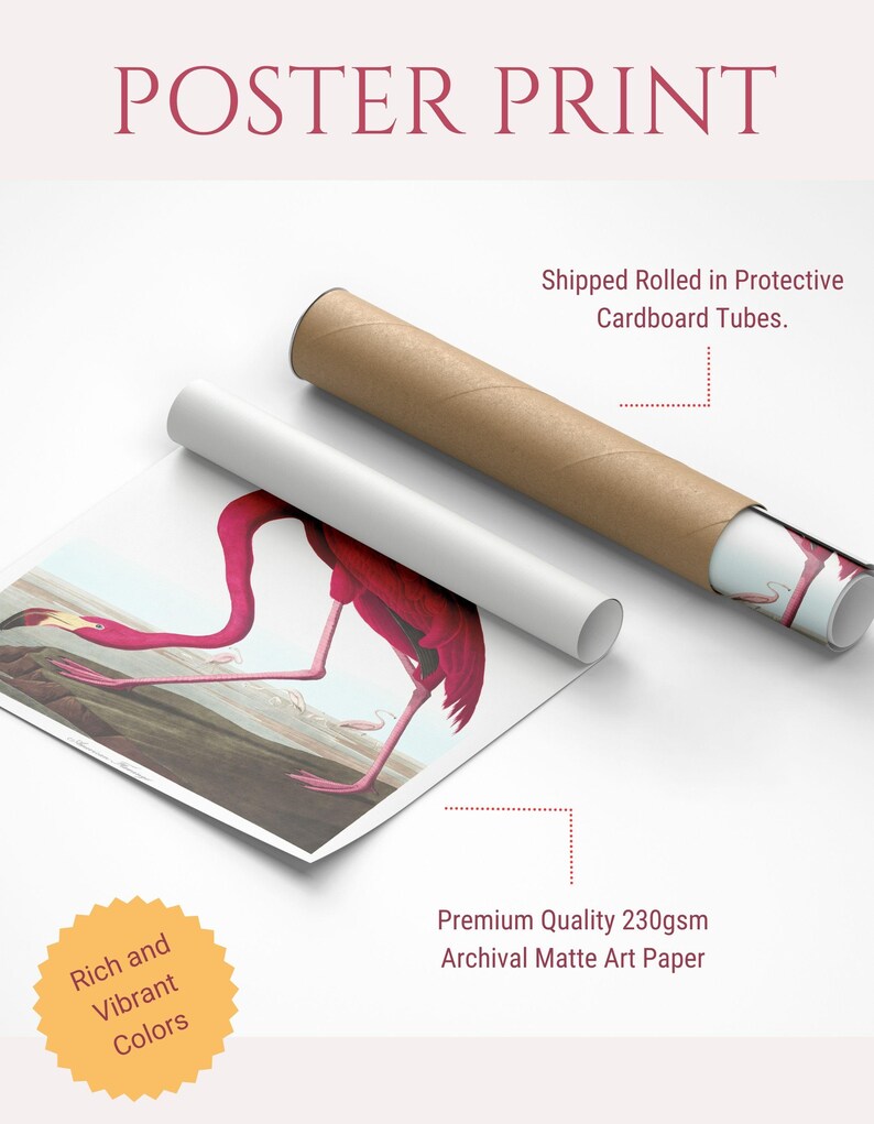May include: A rolled poster print featuring a vibrant pink flamingo illustration. The poster is printed on archival matte paper and is labeled "POSTER PRINT". The image also includes text that says "Rich and Vibrant Colors".