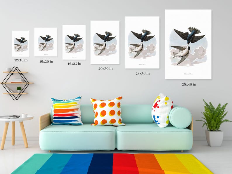 May include: A collection of framed art prints featuring a detailed illustration of two swallows in flight. The prints vary in size, from 12x16 inches to 28x40 inches, and are displayed on a light gray wall above a teal sofa.