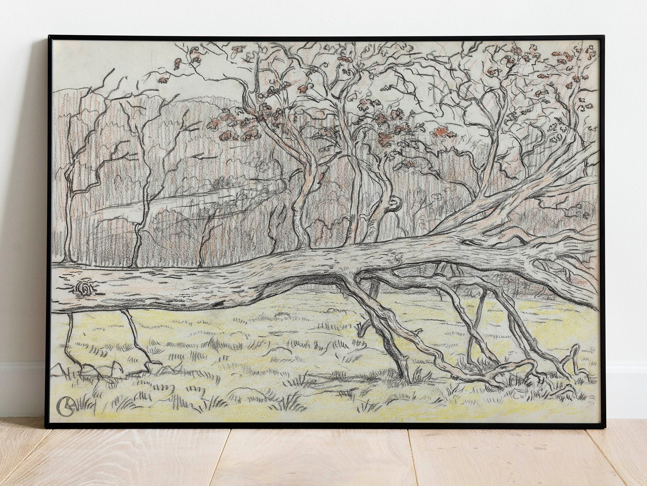 Felled Tree,Normandy by Georges Lacombe| Wall Decor Art Poster| Framed Art Print| Art Canvas| Wall Art Print| Poster Print