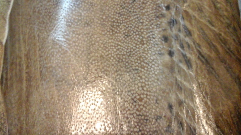Jumbo ELL Skin FS