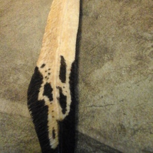403-10 10UB1 Real Water Buffalo Rib