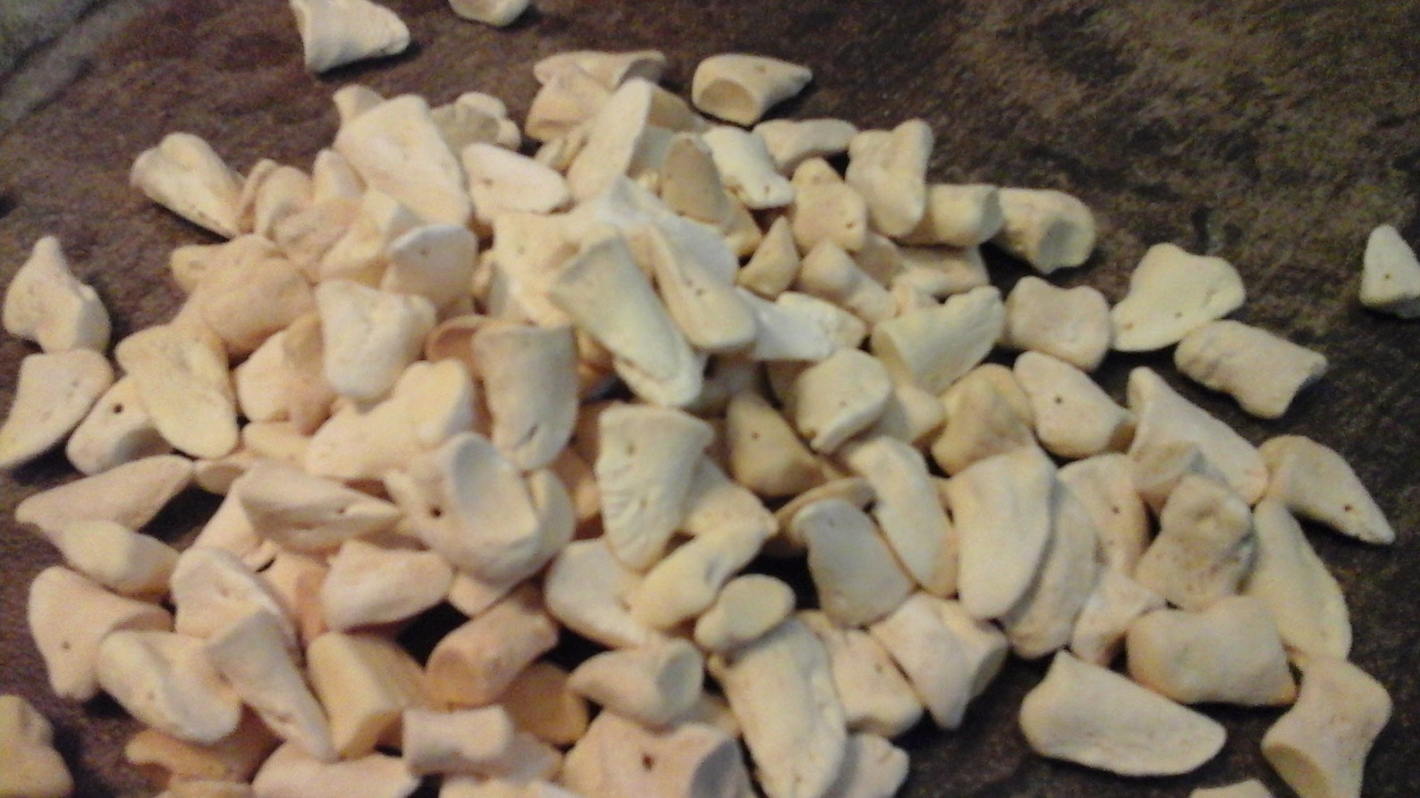 Deer Claw Bones For 20 deer dew claw bones From USA Etsy