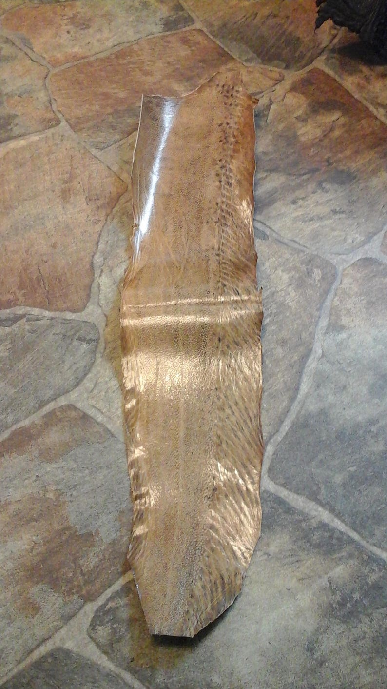 Jumbo ELL Skin FS