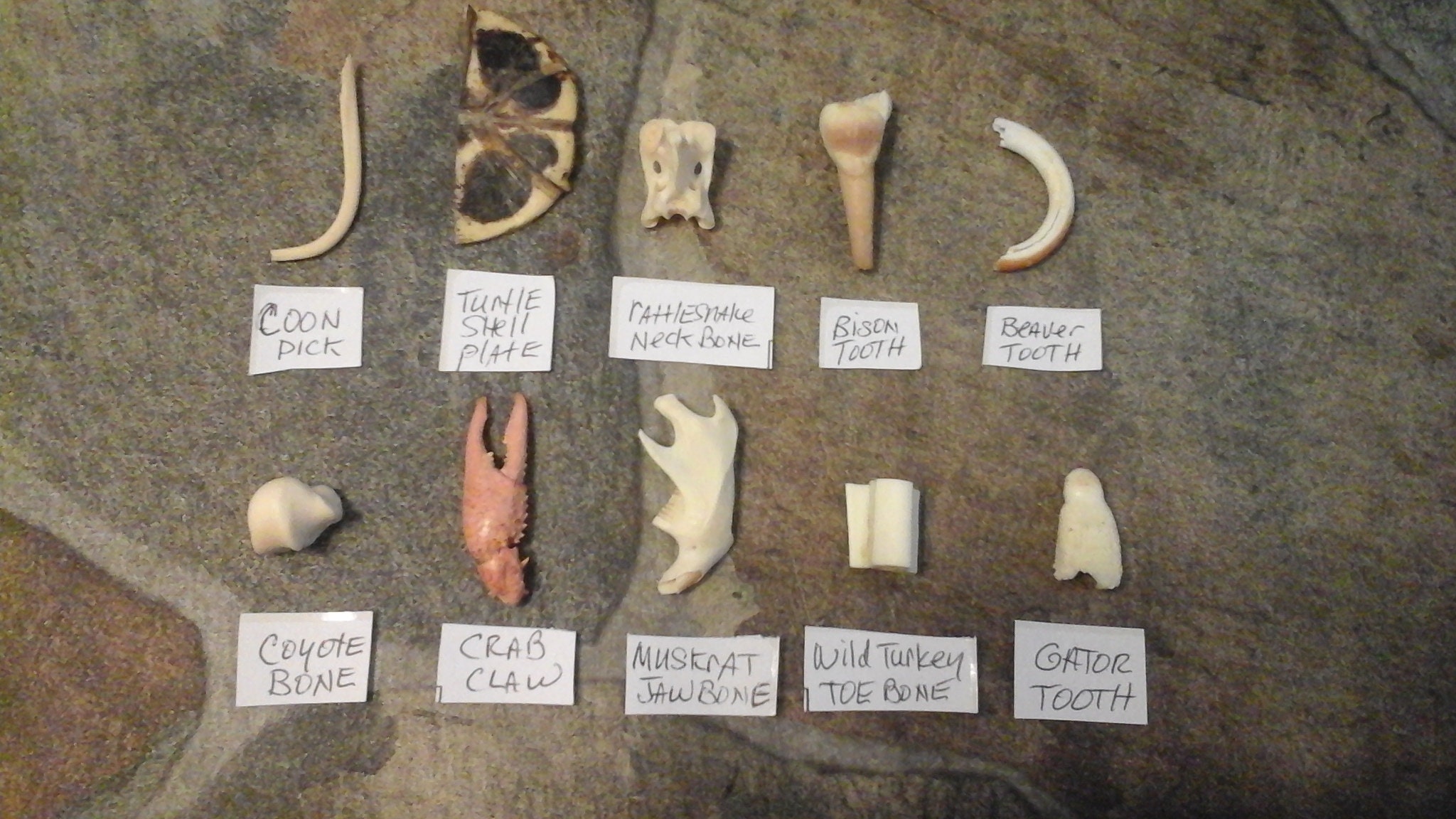 Deluxe Bone Throwing Kit Bone Divination Set Osteomancy Witch Altar