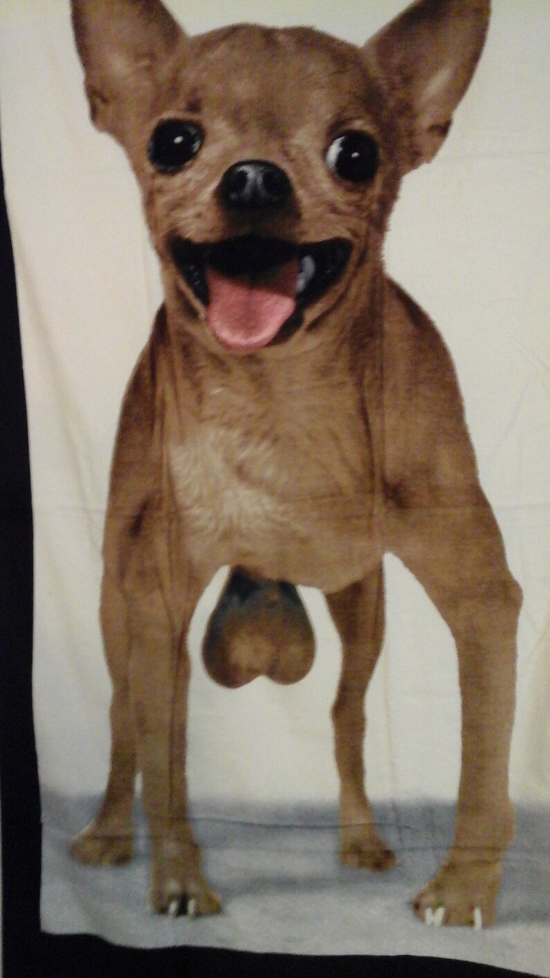 Testicle Towel Chihuahua With Big Nuts Who You Etsy