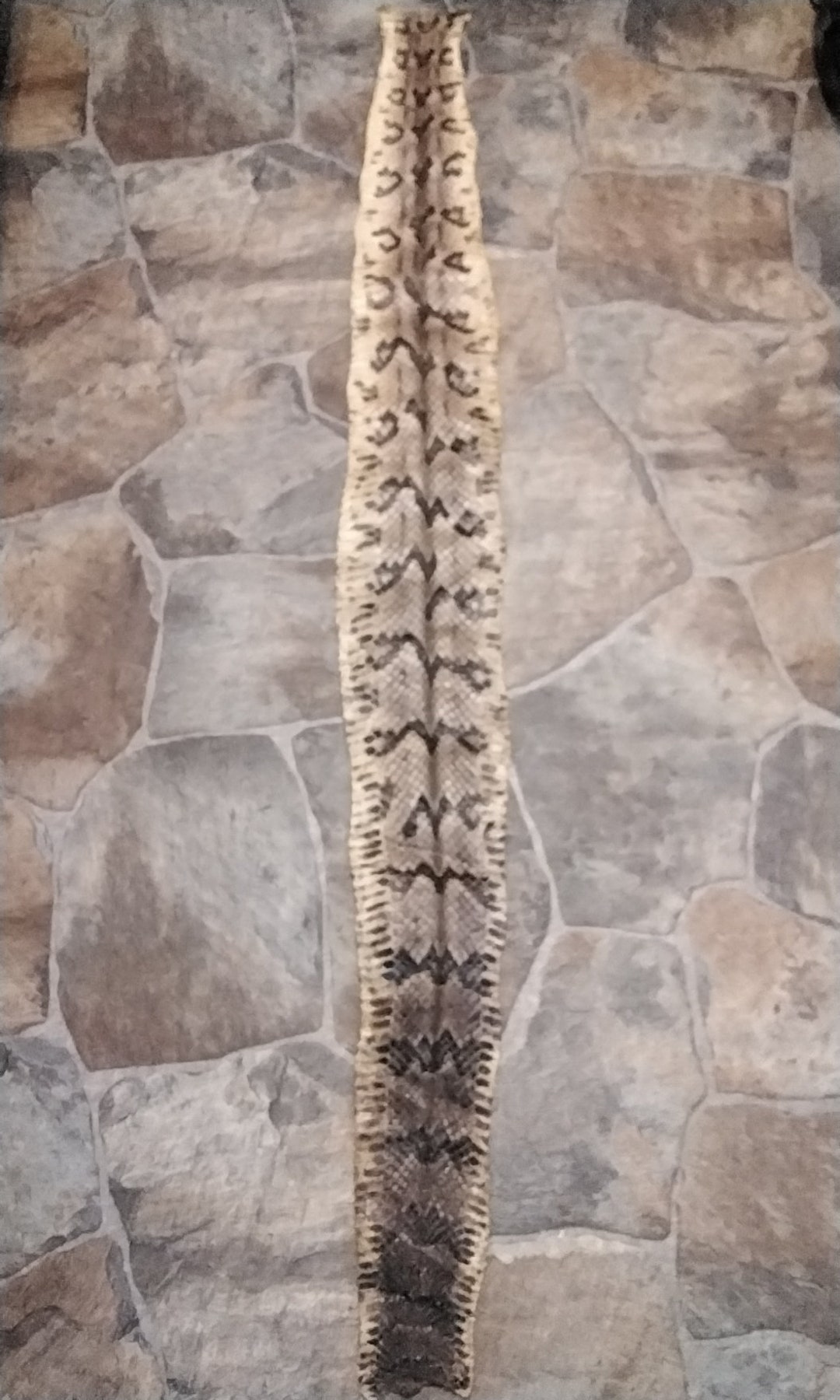 Rattlesnake Skin Canebreak Timber Rattlesnake Skin Commercial Tanned 53