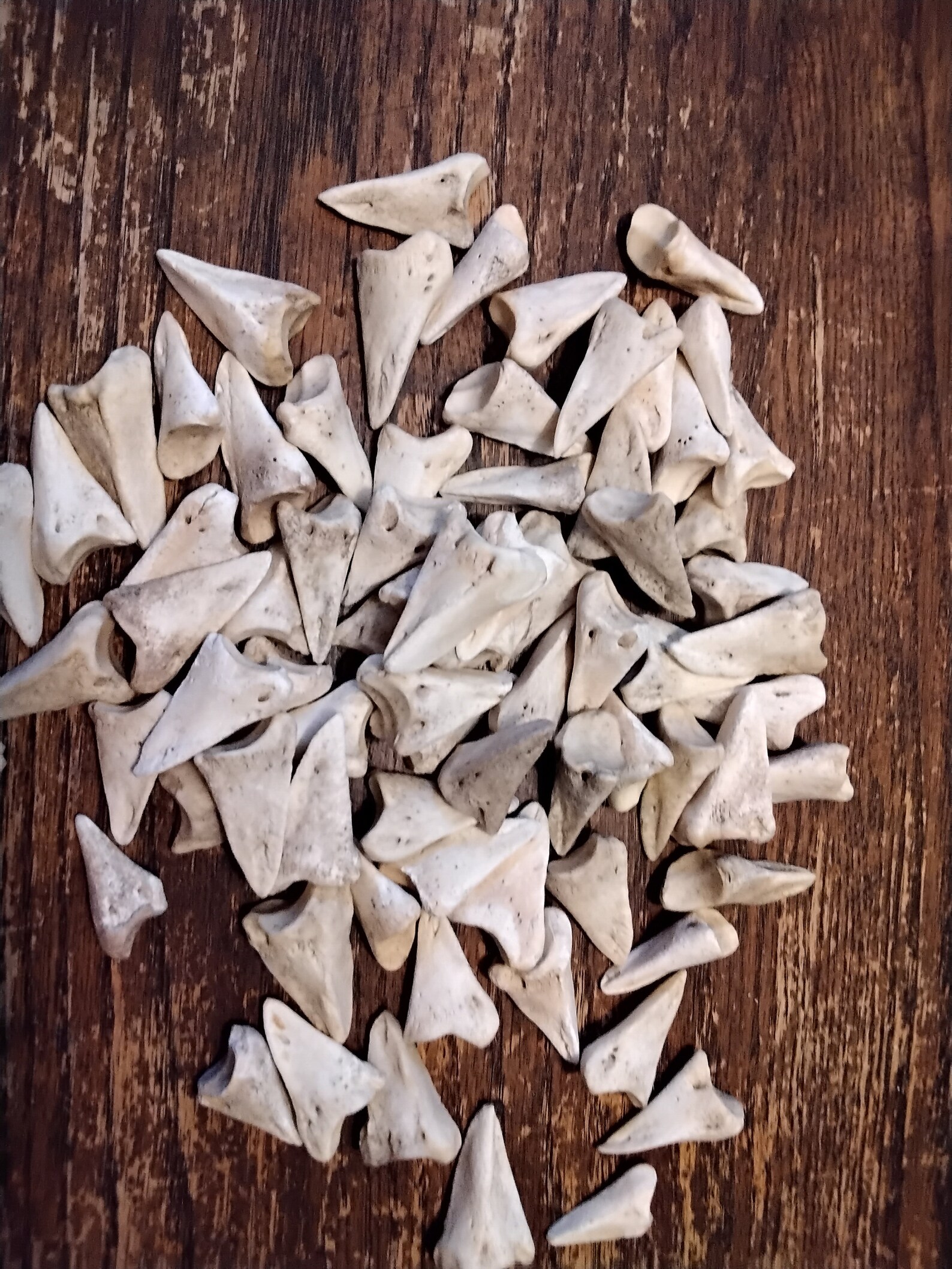 deer bone shoe care