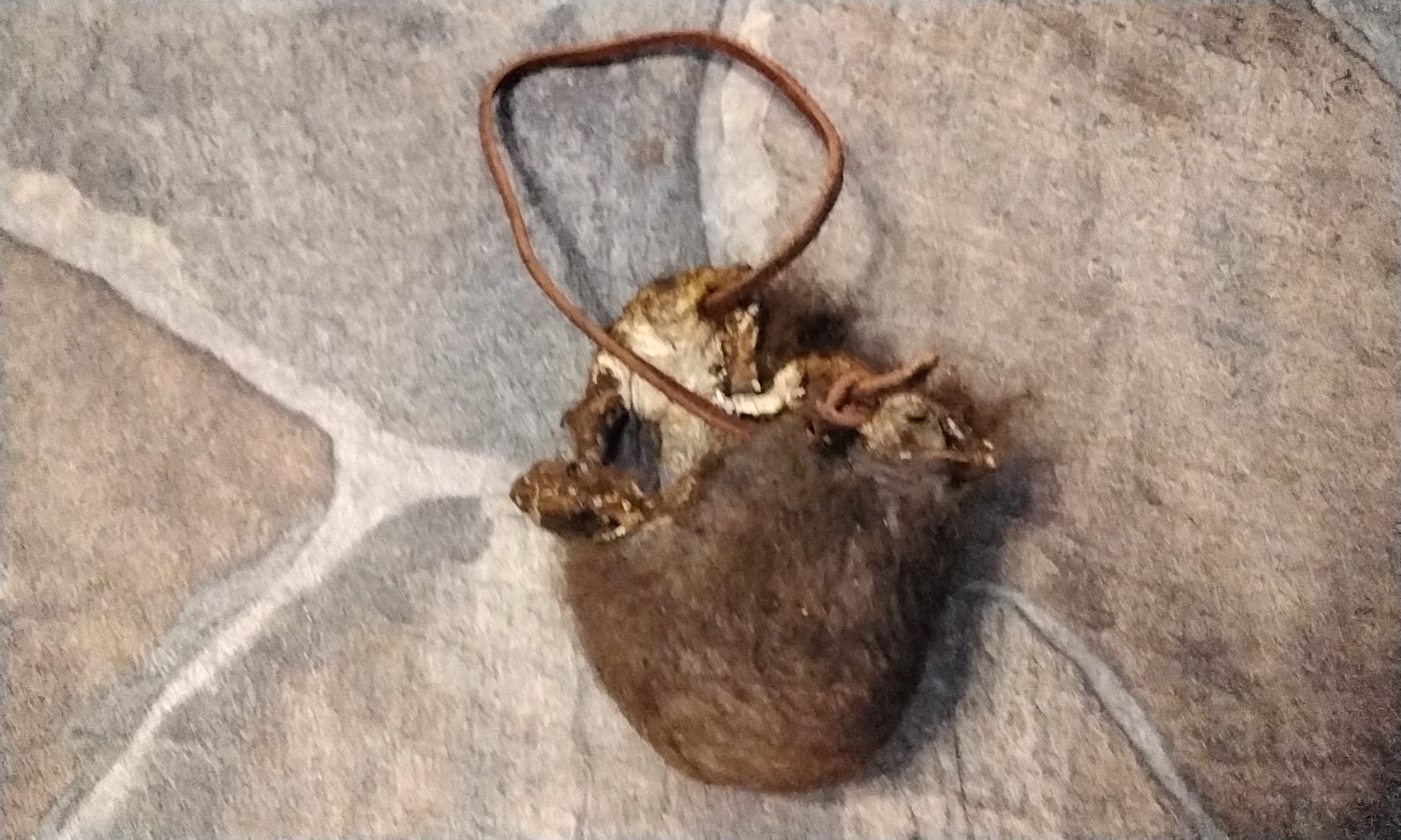 Scrotum Bag Etsy