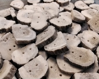 Deer Antler Buttons For 12 Drilled Thick 1" size