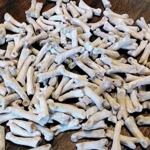 Coyote Toe Knuckle Bones For 10 From USA