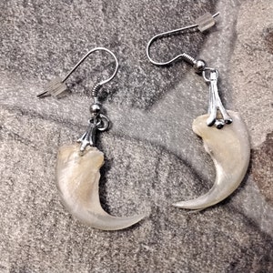 Bobcat  Claw Earrings For 1 Pair Handmade In USA