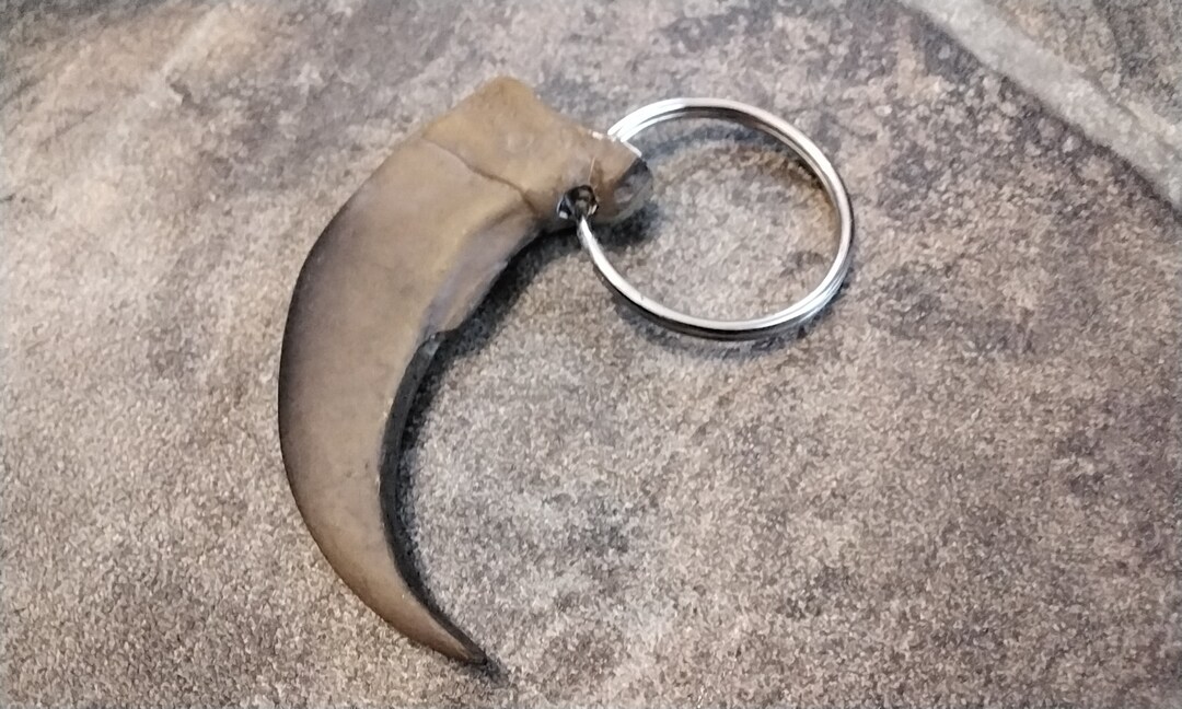 Grizzly Bear Claw Keychain Bone Resin Etsy