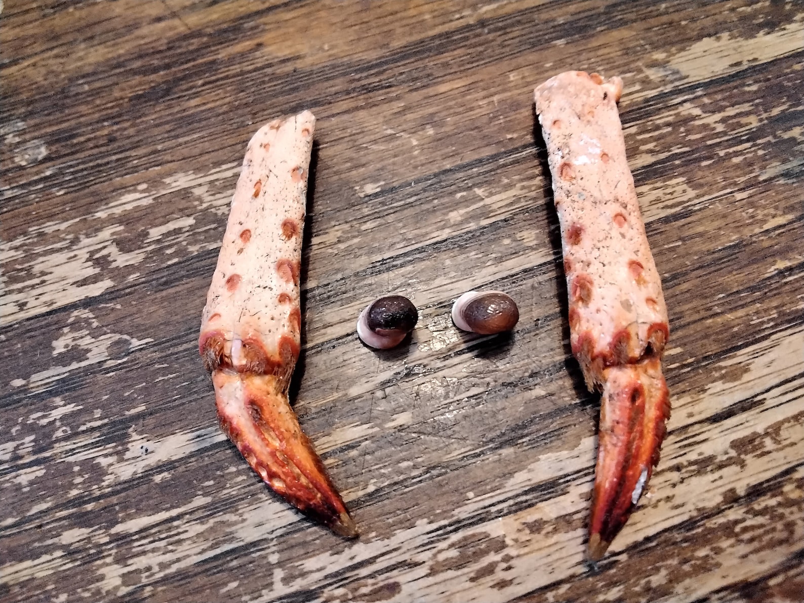 purple lobster on feet