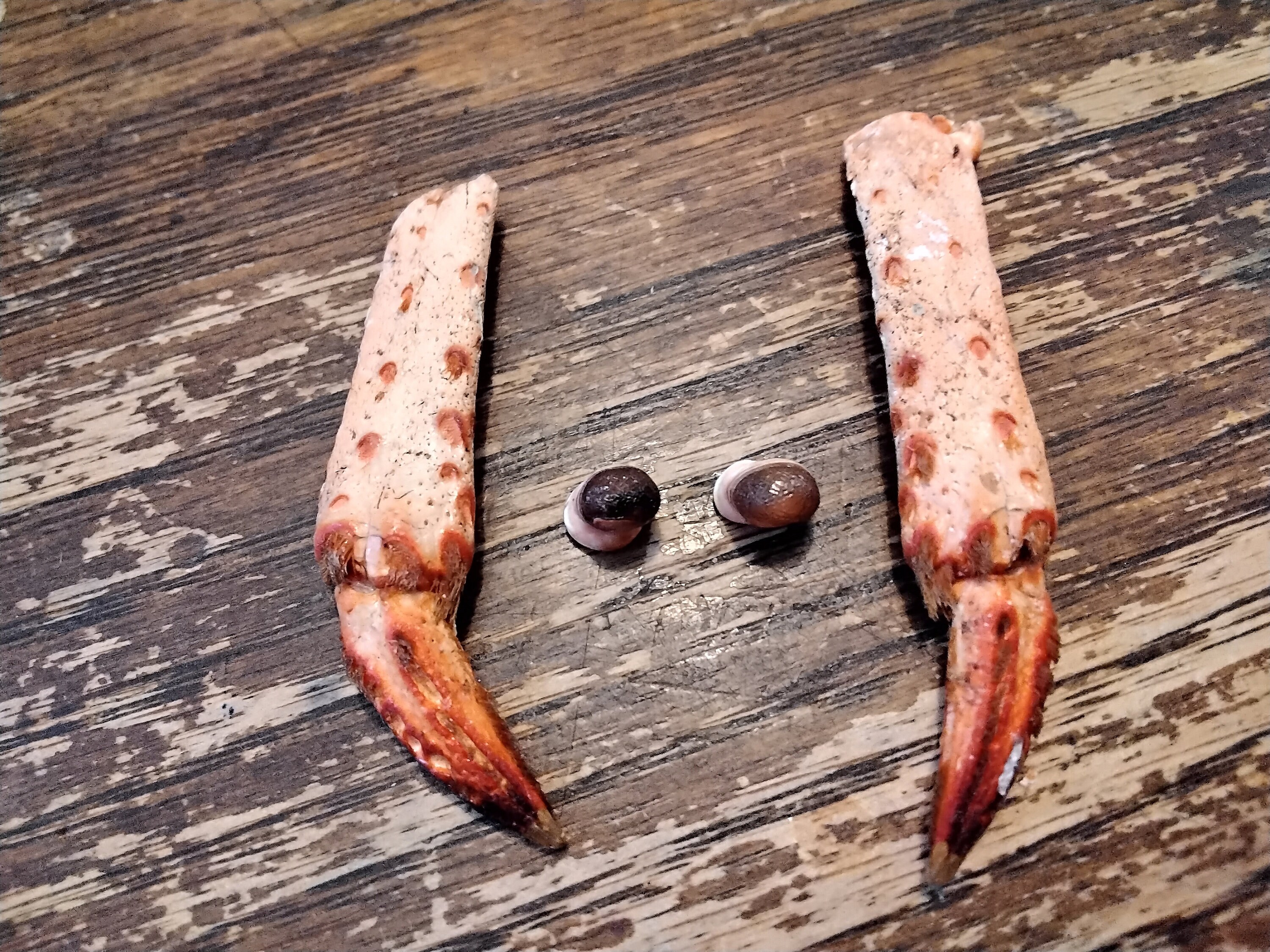 purple lobster on feet