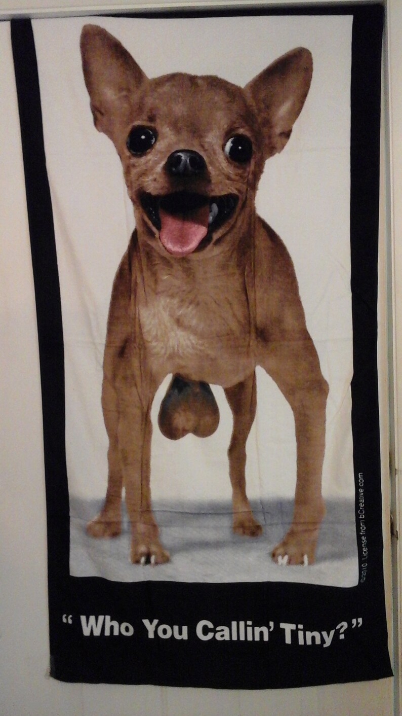 Testicle Towel Chihuahua With Big Nuts Who You Etsy