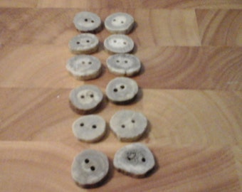 Deer Antler Buttons for 12  (5/8" size) Drilled