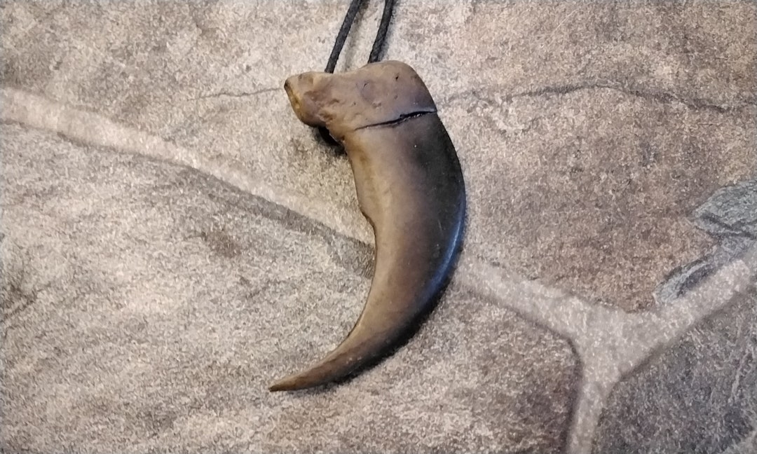 Grizzly Claw Necklace Bone Resin Grizzly Claw Necklace Etsy
