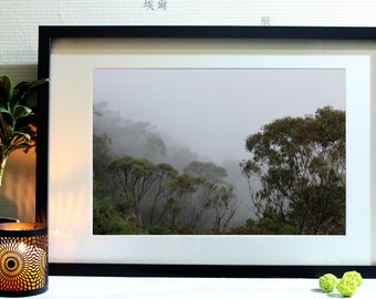 Landscape photography in Australia - Blue Mountains - Roadtrip - Road - Forest - Mist - Photo