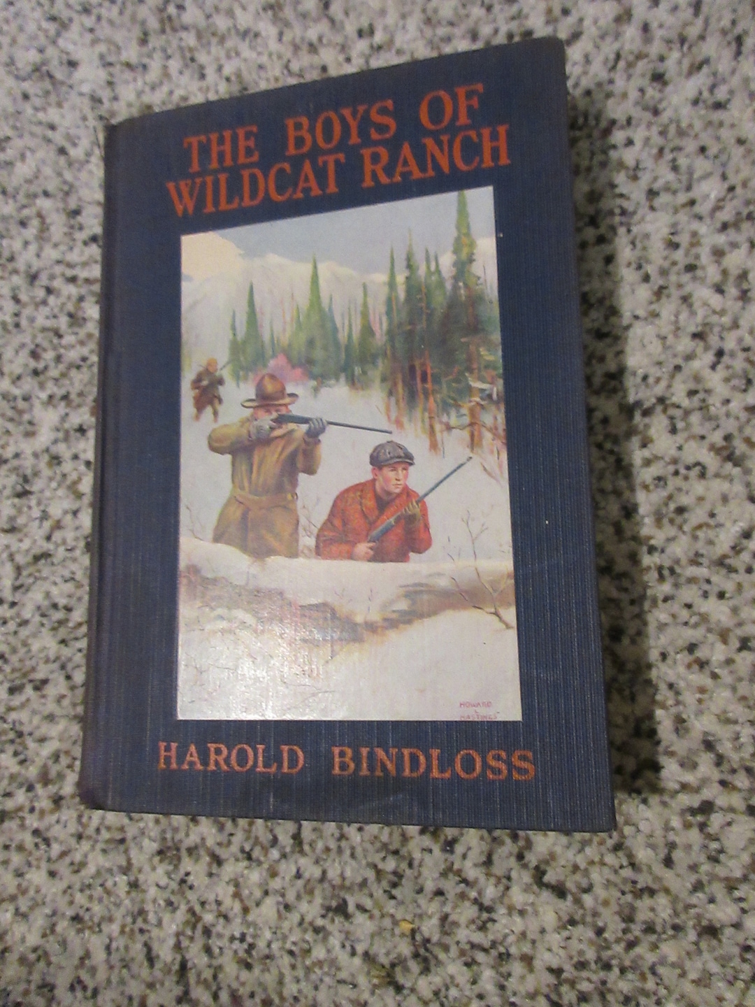 1924 the Boys of Wildcat Ranch, Harold Bindloss Frederick A Stokes Co