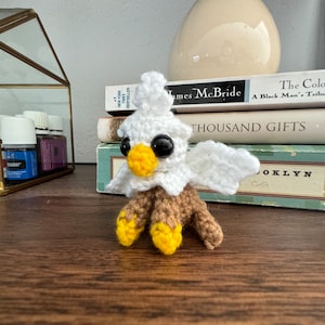 May include: A crocheted white chick with brown legs and yellow feet. The chick is sitting on a stack of books with the title "Thousand Gifts" visible.