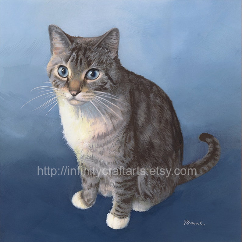 Ragdoll Himalayan Lynx Pointe Cat Portrait Short Hair Cat Etsy