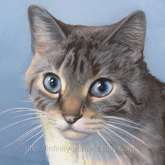 Ragdoll Himalayan Lynx Pointe Cat Portrait Short Hair Cat Etsy