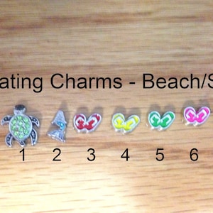 May include: Six floating charms for a charm bracelet or necklace. The charms are a turtle with green gems, a fish, and four pairs of flip flops in red, yellow, green, and pink.