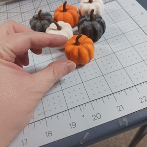 May include: A collection of six miniature pumpkins in various colors, including orange, white, and gray. The pumpkins are arranged on a white grid surface.