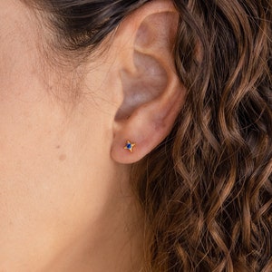 In the first piercing of the ear there in a gold dainty star shaped stud earring. In the middle of the earring is a Navy birthstone.