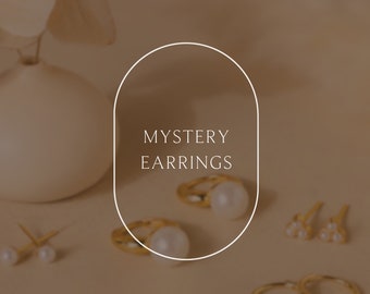 Mystery Earrings by Caitlyn Minimalist • Surprise Studs, Huggies, Hoop Earrings • Minimalist Jewelry • Perfect Birthday Gift for Her • ER569